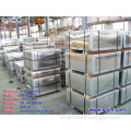 TFS Sheet/Coil (Tin Free Steel Sheet/Coil) Tinplate